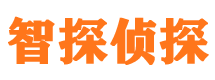 桐柏市私家侦探